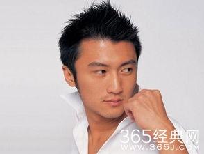 改善明星,探索改善明星的全方位策略