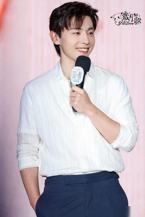 邓伦明星家,星光璀璨的演艺之路与家国情怀