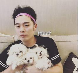 陈赫婚后爆料视频合集是真的吗,真相还是虚构？