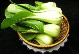 小何同学吃瓜菜菜,揭秘菜菜背后的故事