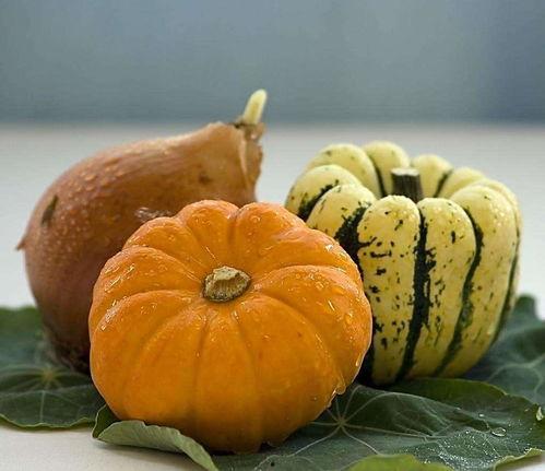 吃瓜情报处潮汕,揭秘吃瓜情报处的独特魅力