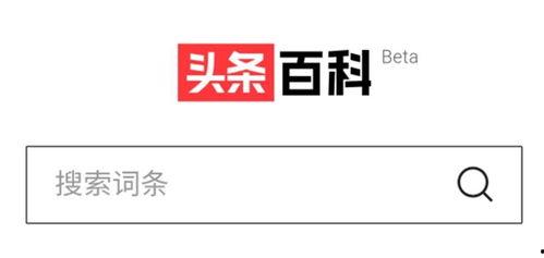 头条百科懒熊,揭秘动物界的“懒汉”