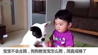 周美美网红,从网红到现象，揭秘她的魅力与影响力