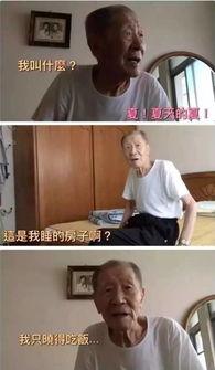 台湾红爷小说网,网络文学的魅力之旅