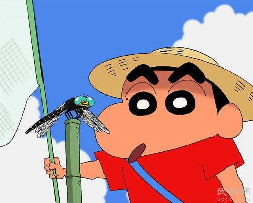 小新理性吃瓜,揭秘网络舆论背后的真相