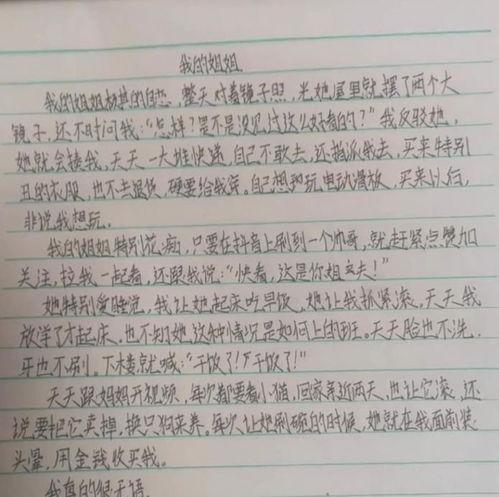 大牌眼中的明星作文,明星风采解读