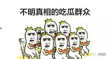 吃瓜奔腾,揭秘娱乐圈幕后风云