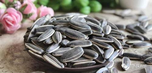 吃瓜子吃瓜丝瓜子丝瓜子,探寻吃瓜子与瓜丝瓜子的奇妙之旅