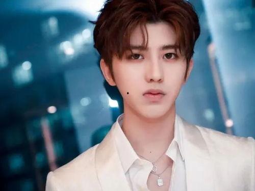 哪个明星适合演谢文东