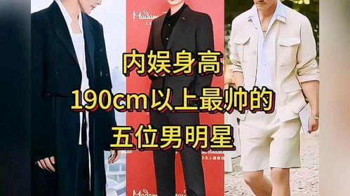 190身高的明星,身材高挑，魅力四溢