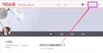 怎么查看头条审核,如何查看审核结果及应对策略