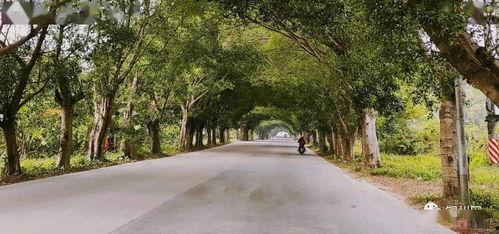 北流几个网红打卡,探寻城市新风尚的潮流坐标