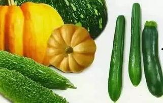 妖孽吃瓜,揭秘娱乐圈背后的秘密与八卦