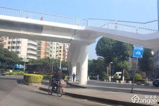 今日头条东莞东江中学,培育未来精英，铸就辉煌未来”