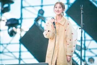 网红歌定义,流行文化的风向标与时代记忆的载体