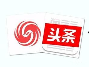 头条新闻农产品大全,农产品大全，带你领略丰富多样的农业世界