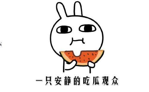 黑料事件吃瓜,揭秘娱乐圈背后的真相与争议