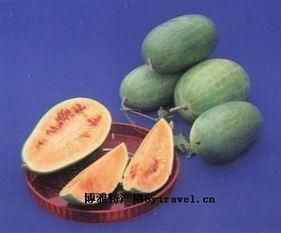 新场镇三林塘崩瓜怎么吃