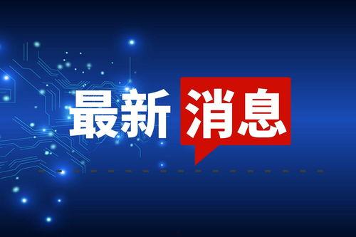 今日头条可爱小物品图片,“萌化日常！盘点今日头条热门可爱小物品图片”