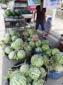 青海吃瓜事件rip,揭秘背后真相与网络舆论风暴