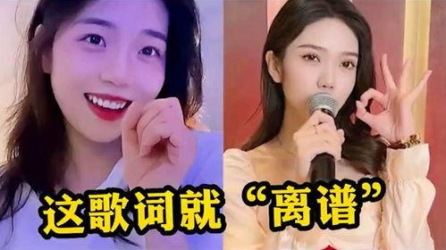 关于网红歌