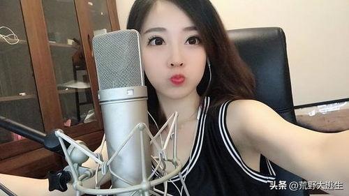 网红仓野照片,照片背后的故事与魅力